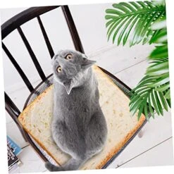 TOYANDONA Cat Cushion Food Decor Soft Pillow Daybed Pillows Dog Couch Unique Plush Dog House Unique Throw Pillow Adorable Cat Cushion Cat Sleeping Cushion Indoor Sleeping Pad Pillow Cushion -Pet Products Shop 51zqB1Tj7xL