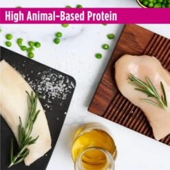 Nulo Freestyle Cat & Kitten Food, Premium Grain-Free Dry Small Bite Kibble Cat Food, High Animal-Based Protein With BC30 Probiotic For Digestive Health Support 14 Nulo Freestyle Cat & Kitten Food, Premium Grain-Free Dry Small Bite Kibble Cat Food, High Animal-Based Protein With BC30 Probiotic For Digestive Health Support -Pet Products Shop 61AfR6PDI1L