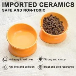 GENERIC PAILUOMU Ceramic Raised Cat Bowl, Set 2 Tilted Elevated Pet Food And Water Bowls, Stress Free Cat Dog Feeder Dish, Suitable For Small, Medium Cats And Dogs,Yellow -Pet Products Shop 61HGj38B4TL