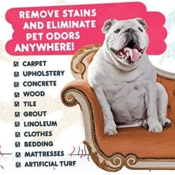 Calyptus Pet Stain And Odor Remover | Orange And Enzyme Cleaner Duo Solution For Pets | Carpet Cleaner And Odor Eliminator For Cat Urine, Dog Pee, And Poop | Professional Strength, 1 Gallon -Pet Products Shop 61LTilLvPBL
