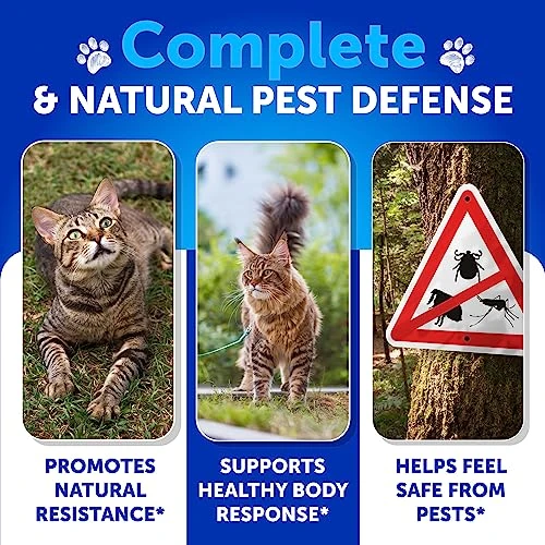 Flea And Tick Prevention For Cats Chewables - Made In USA - Natural Flea And Tick Supplement For Cats - Oral Flea Pills For Cats - Pest Defense - All Breeds And Ages 5 Flea And Tick Prevention For Cats Chewables - Made In USA - Natural Flea And Tick Supplement For Cats - Oral Flea Pills For Cats - Pest Defense - All Breeds And Ages - Image 3