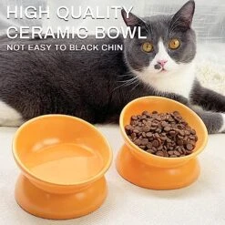 GENERIC PAILUOMU Ceramic Raised Cat Bowl, Set 2 Tilted Elevated Pet Food And Water Bowls, Stress Free Cat Dog Feeder Dish, Suitable For Small, Medium Cats And Dogs,Yellow -Pet Products Shop 61xCZ2lPeXL